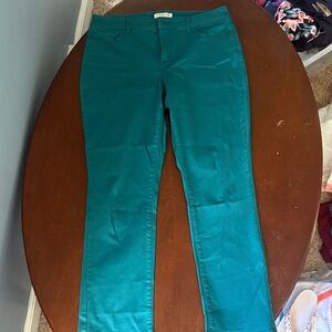 Women’s Petite Coldwater Creek Teal Skinny Jeans